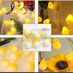 10 LED eggs Fairy lights
