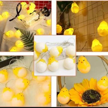 10 LED eggs Fairy lights