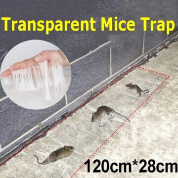 Transparent rat killing carpet