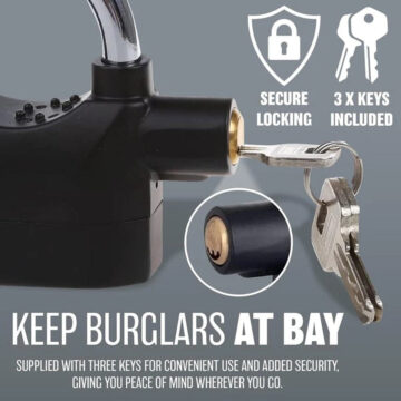 Anti-Theft Alarm Lock